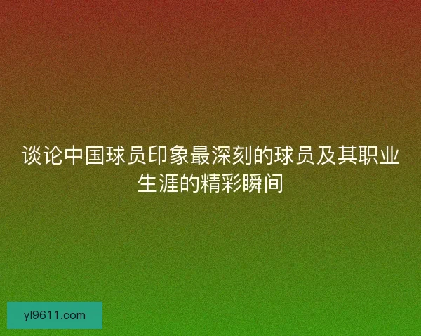 谈论中国球员印象最深刻的球员及其职业生涯的精彩瞬间